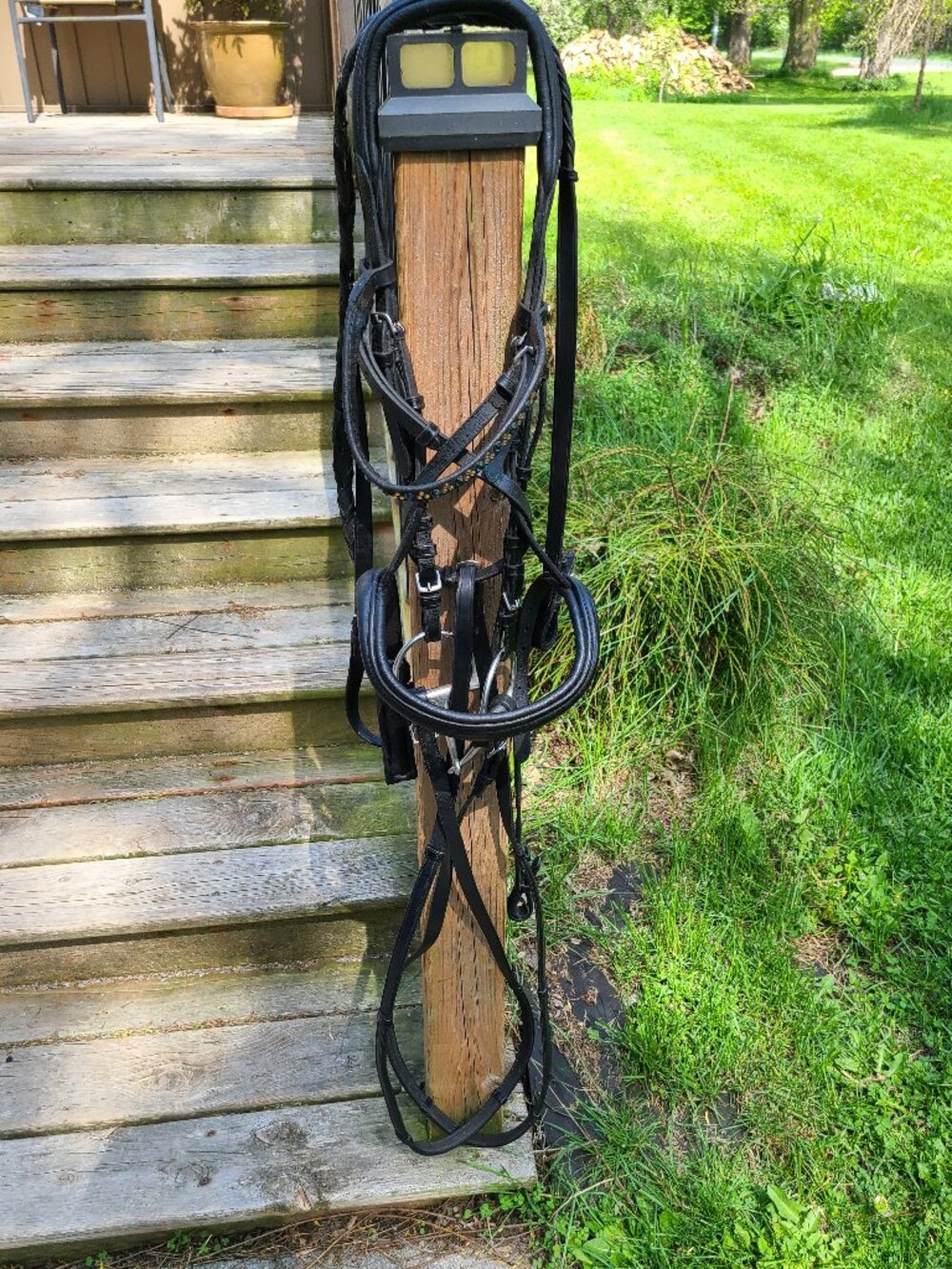 Waldhausen  FULL Padded Dressage Bridle w/ Rhinestone Browband &  Metalabs Bit